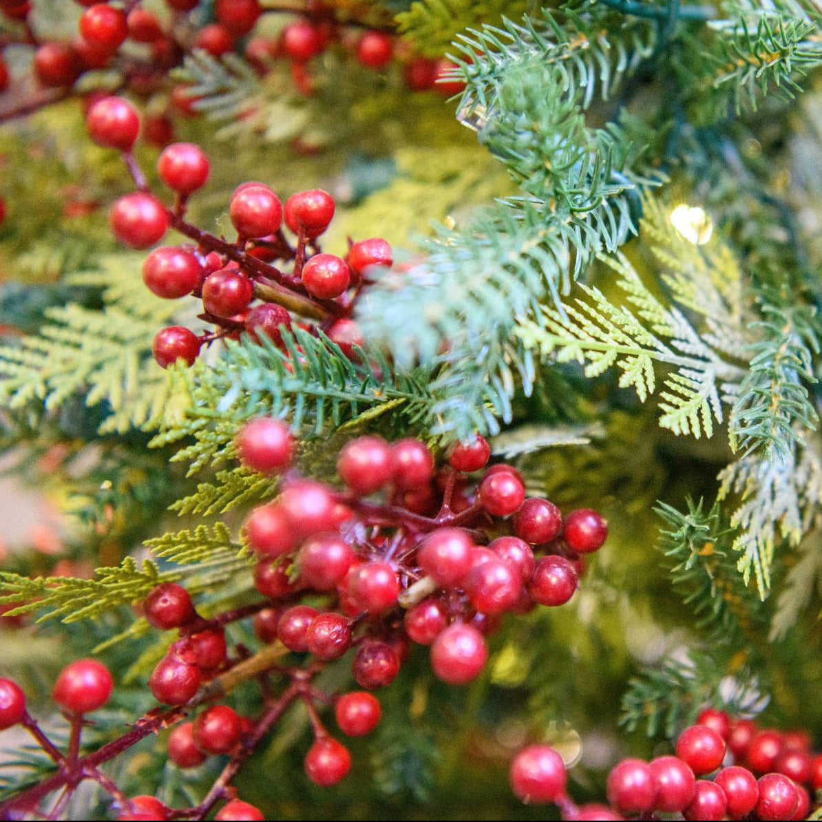 4' Mixed Pine Berries Potted Tree - foliage, berries and lights close-up 2