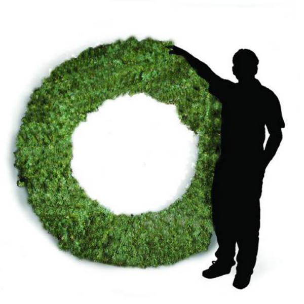 84" Sierra Fir Wreath Unlit
