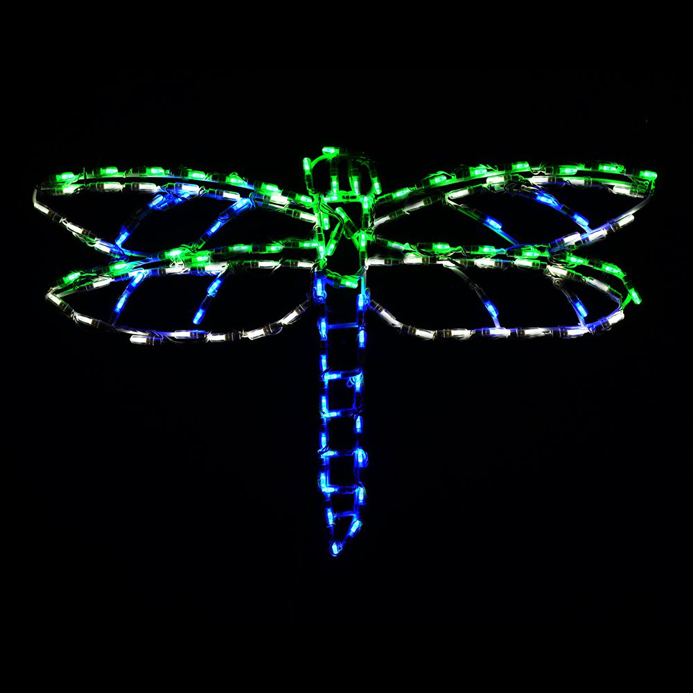 Dragonfly LED Display