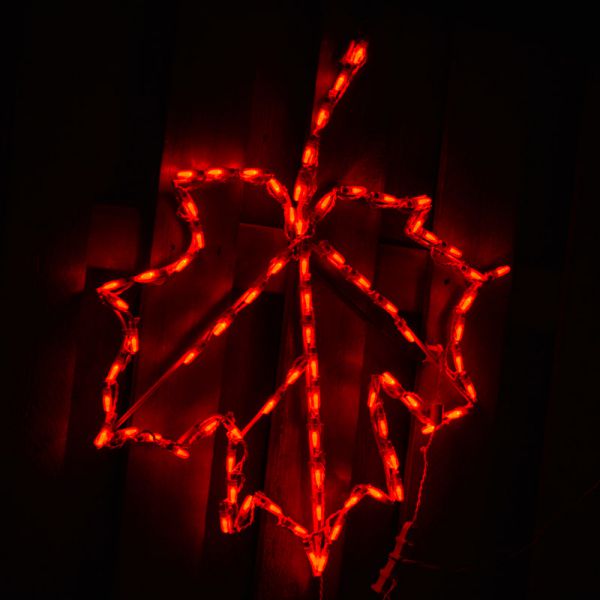 Maple Leaf LED Display