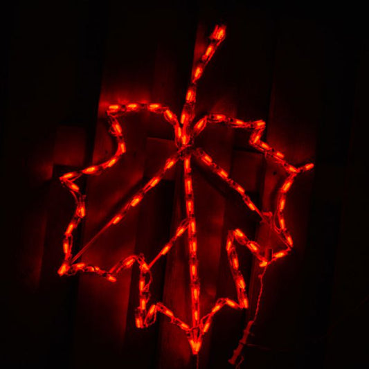 Maple Leaf LED Display