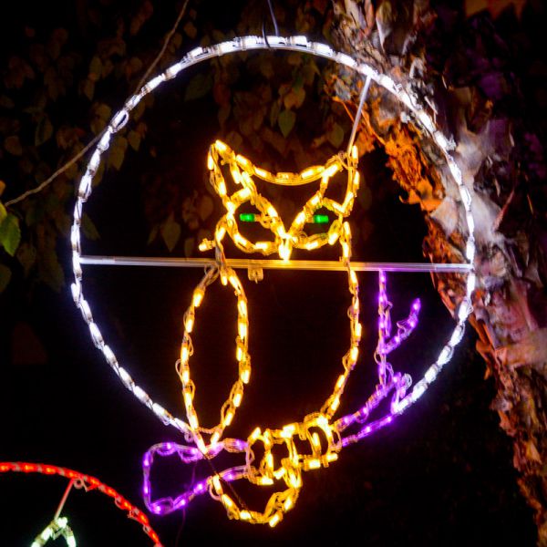 Owl on Tree Branch Halloween LED Display