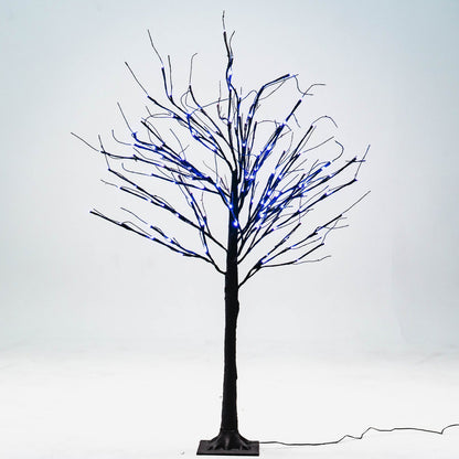 Black Birch Tree - 4 ft.