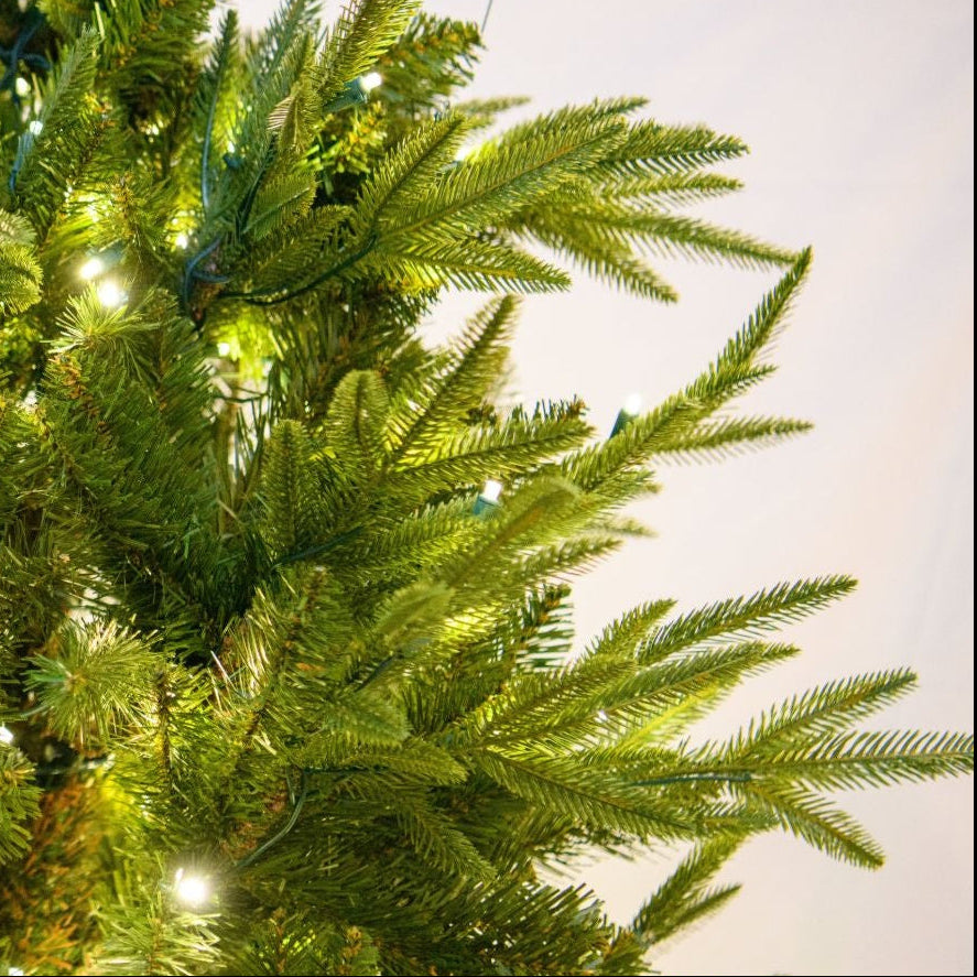LED 12' Fraser Fir Tree, Warm White Lights - Fraser fir needles and warm white lights close-up 1