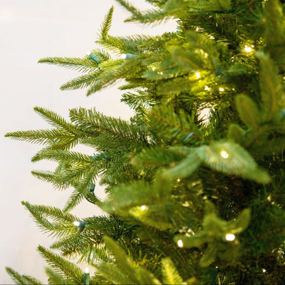 LED 12' Fraser Fir Tree, Warm White Lights - Fraser fir needles and warm white lights close-up 2