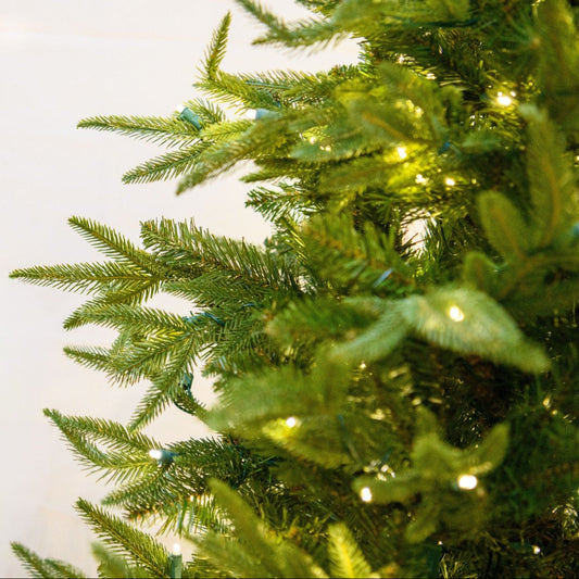 LED 12' Fraser Fir Tree, Warm White Lights - Fraser fir needles and warm white lights close-up 2