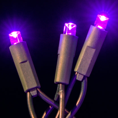 LED Concave 5MM Light Set, 70 Ct, 4" Spacing, Two Wire -Pro Lights