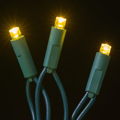 LED Concave 5MM Light Set, 70 Ct, 4" Spacing, Two Wire -Pro Lights