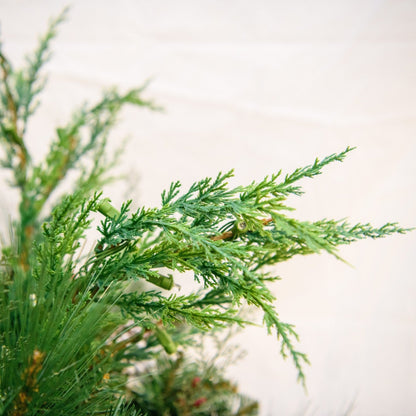40" Mountain Pine Container Filler with LED Lights - Warm White - cedar sprig close-up