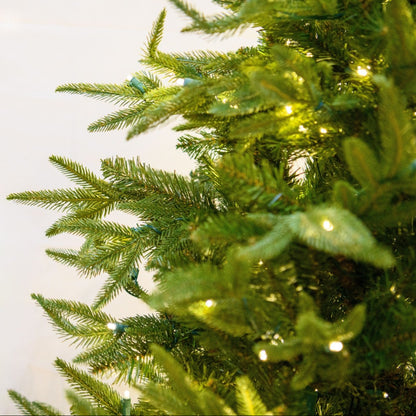 LED 7.5' Fraser Fir Tree - Warm White - Fraser fir needles and warm white lights close-up 4