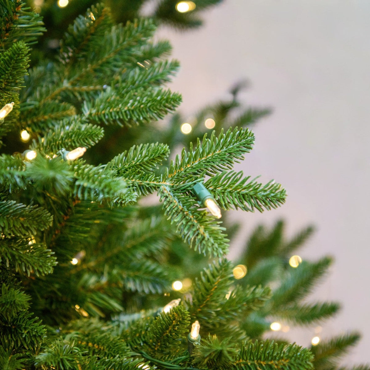 7.5' Noble Medium LED One-Plug Tree w/ Warm White Lights - needle and lights close-up 3