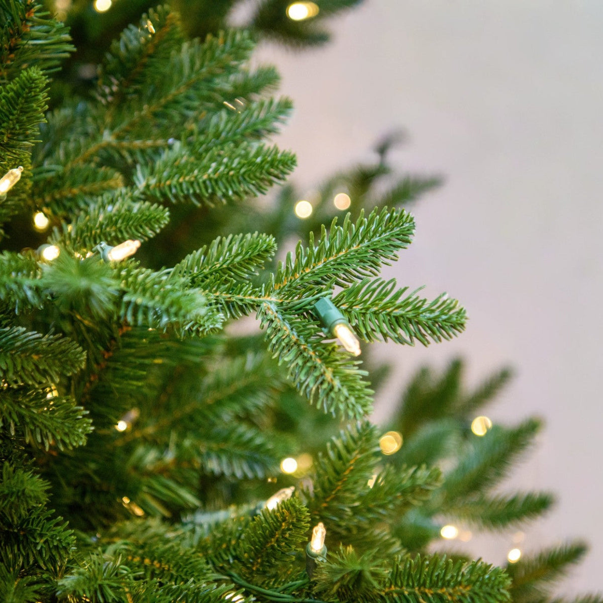 7.5' Noble Slim LED-One Plug Tree Warm White Lights - needle and lights close-up 2