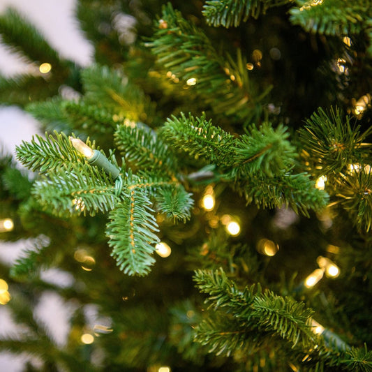 7.5' Noble Slim LED-One Plug Tree Warm White Lights - needle and lights close-up 3