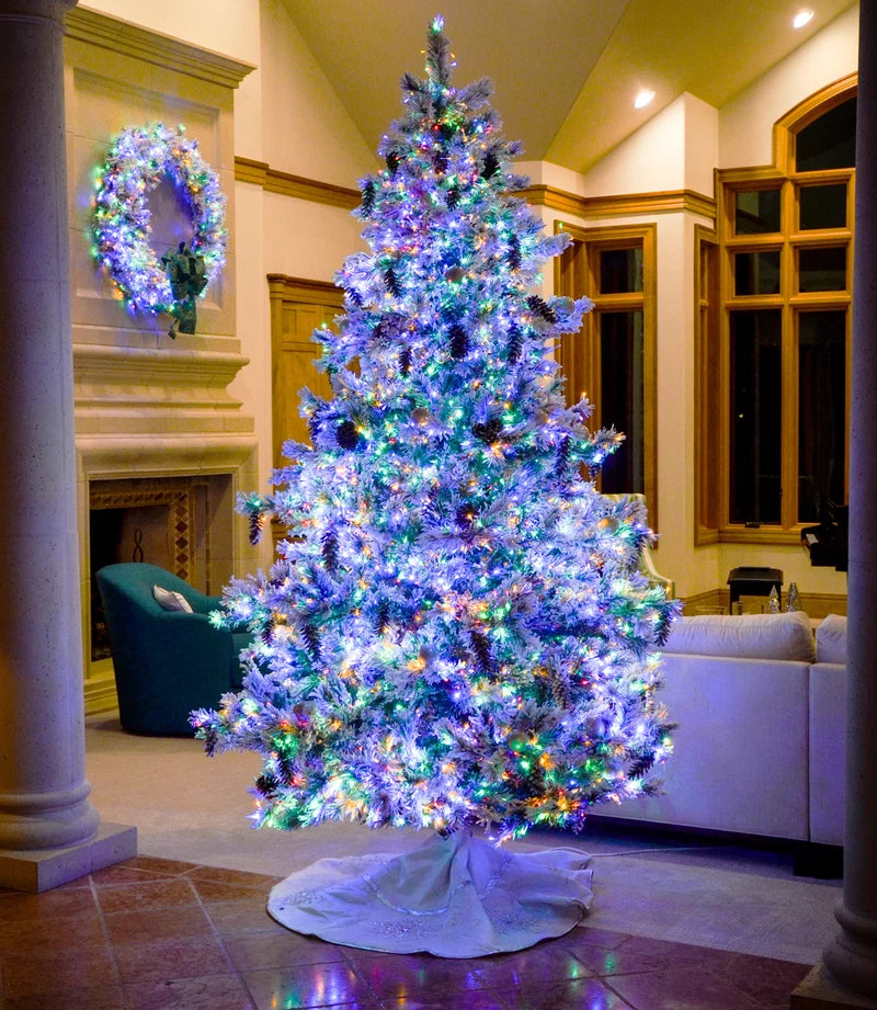 Christmas Trees