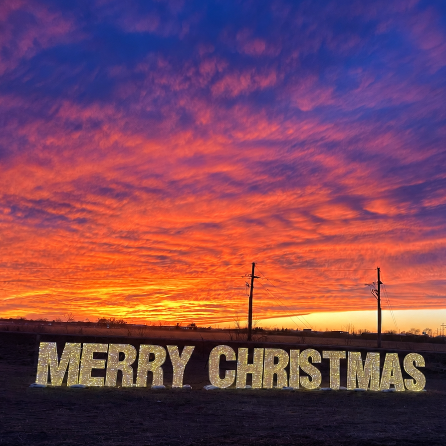 Merry Christmas PVC Mesh 3D Display