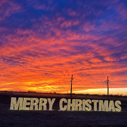 Merry Christmas PVC Mesh 3D Display