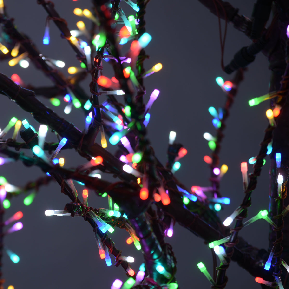 LED 12' Linden Tree, Brown Trunk, RGB Lights - App Controlled