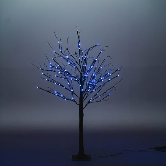 Black Birch Tree - 4 ft.