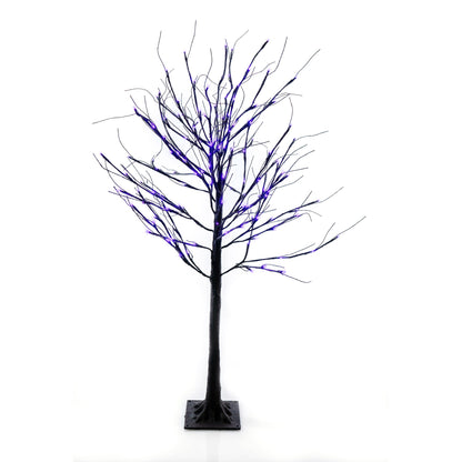 Black Birch Tree - 6 ft.