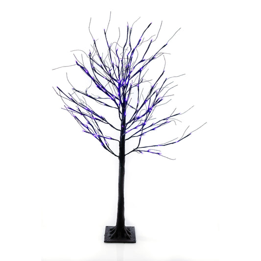 Black Birch Tree - 6 ft.