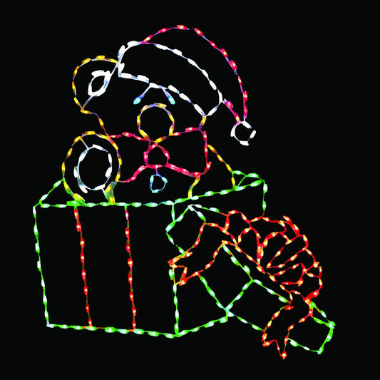 Teddy Bear Toy in Gift Box LED Display (48")