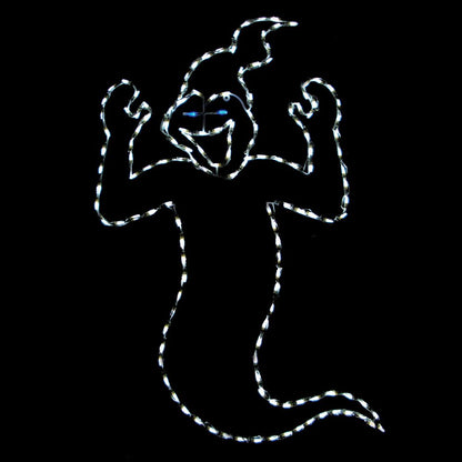 Laughing Ghost LED Display