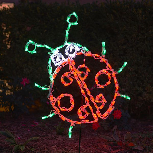 Lady Bug LED Display