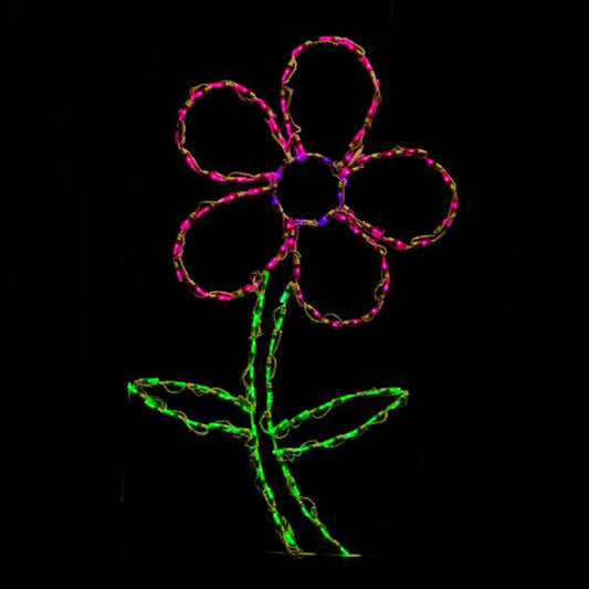 Daisy Flower LED Display - Pink