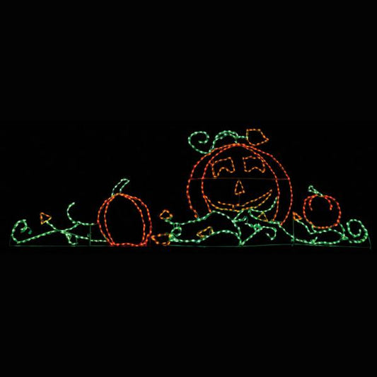 Pumpkin Patch LED Display (65")