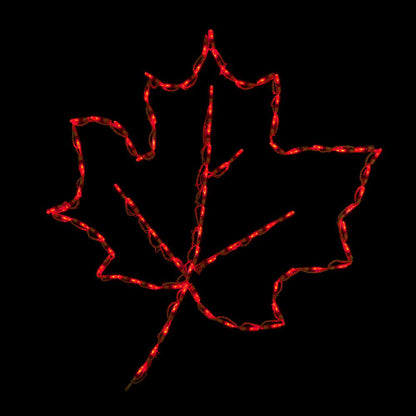 Maple Leaf LED Display