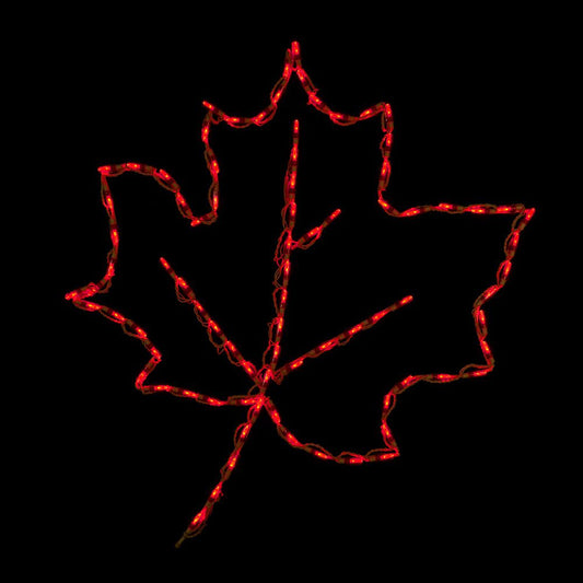 Maple Leaf LED Display