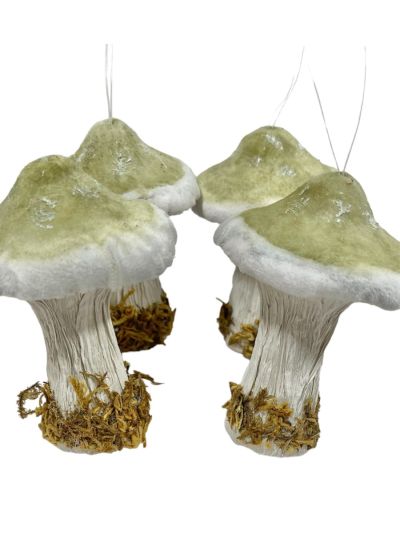 Moss Green Top Mushroom Ornament - Set of 4